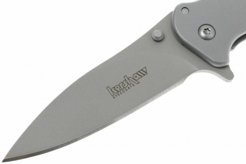 Складной нож Kershaw Zing SS 1730SS фото 15 Складной нож Kershaw Zing SS 1730SS фото 15