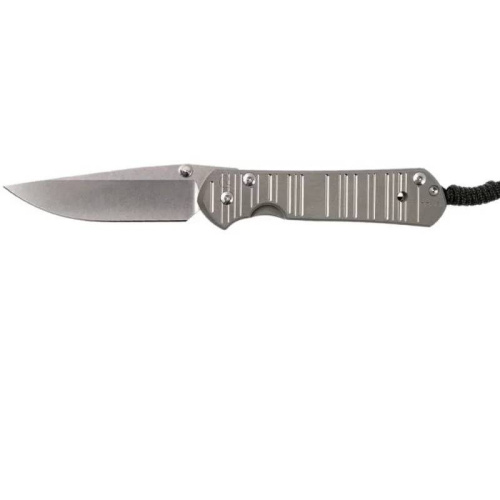 Складной нож Chris Reeve Large Sebenza 21 Think Twice фото 6