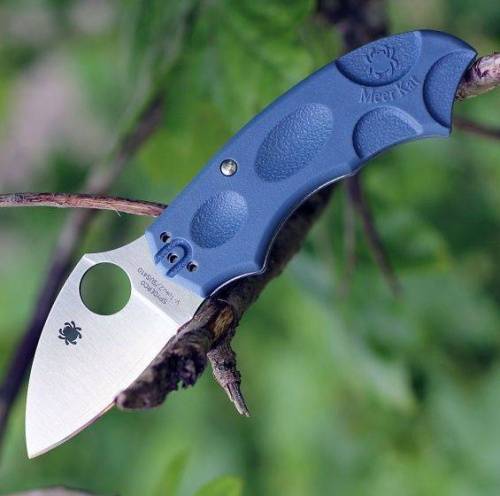 5891 Spyderco Meerkat BLUE C64PBLE фото 9