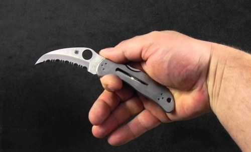 Складной нож Spyderco Harpy 08S фото 6