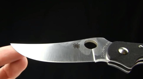 Складной нож Spyderco Persian 2 83GP2 фото 4
