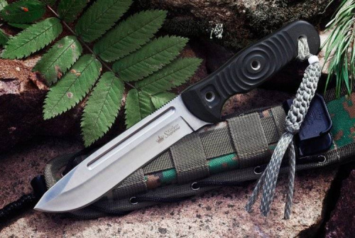 3810 Kizlyar Supreme AUS-8 SW